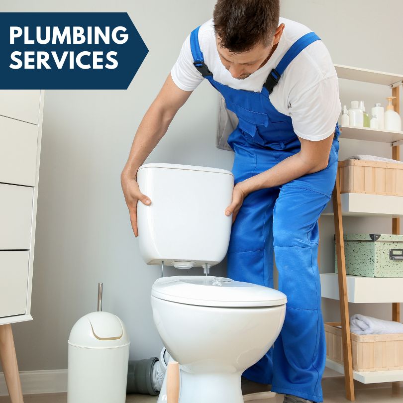 Plumbing Company in The Villages, FL